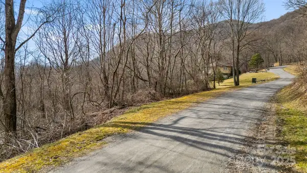 TBD Live Oak Loop #71, Waynesville, NC 28785