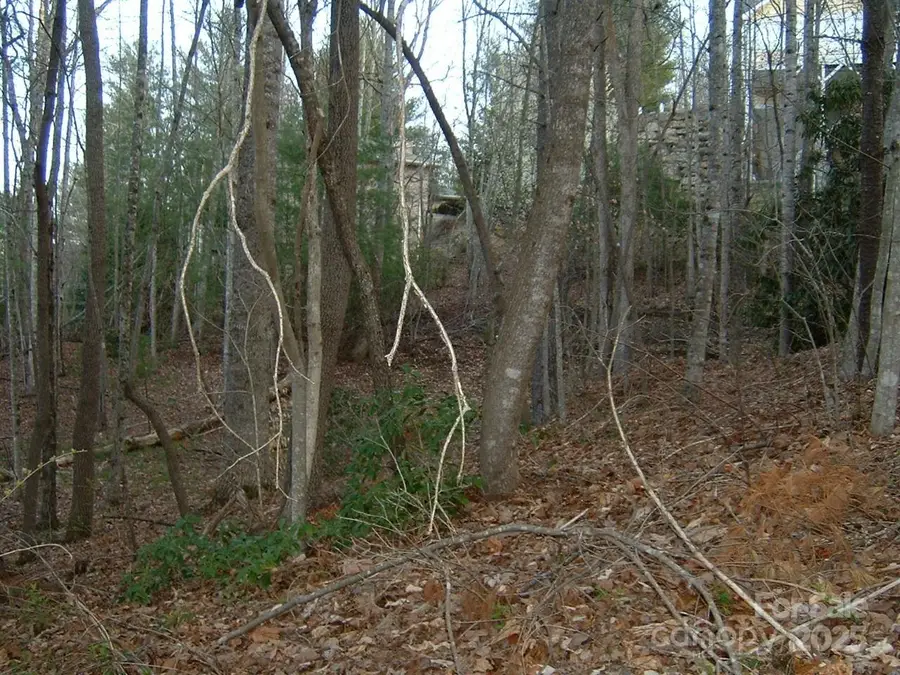 1631 High Meadow Lane #34, Hendersonville, NC 28739 - Image #3