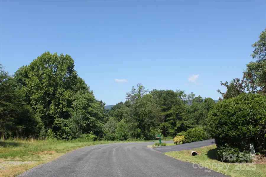 Lot #28 Lake Adger Parkway #28, Mill Spring, NC 28756 - Image #2