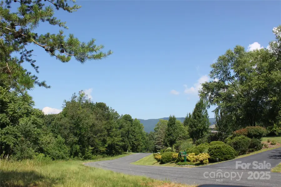 Lot #28 Lake Adger Parkway #28, Mill Spring, NC 28756 - Image #3