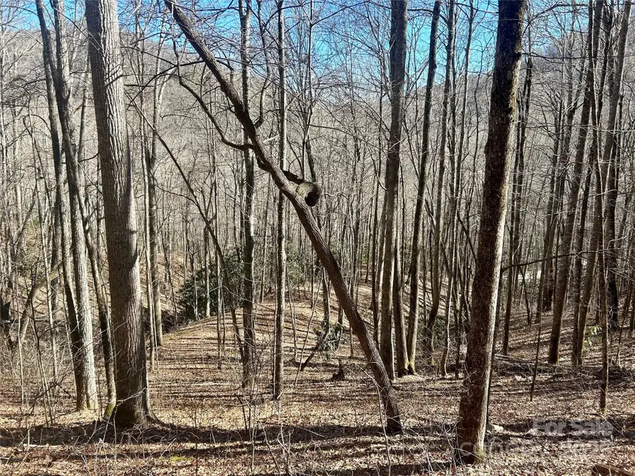 0 Deep Gap View #52&53, Whittier, NC 28789 - Image #2