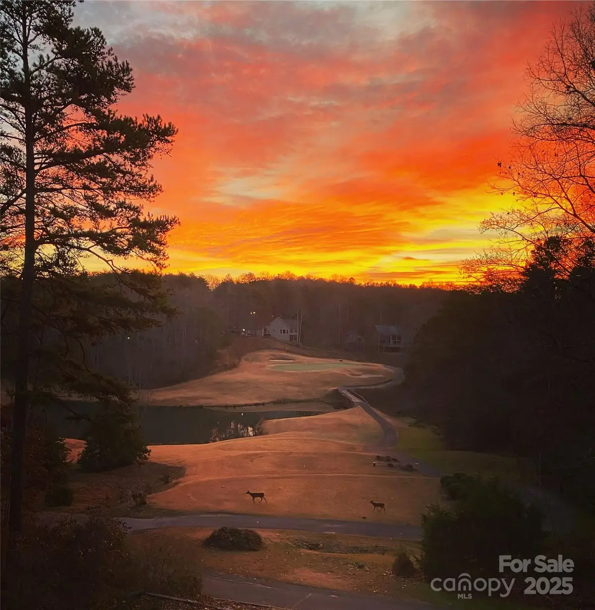 172 Summer Morning Court, Lake Lure, NC 28746 - Image #1