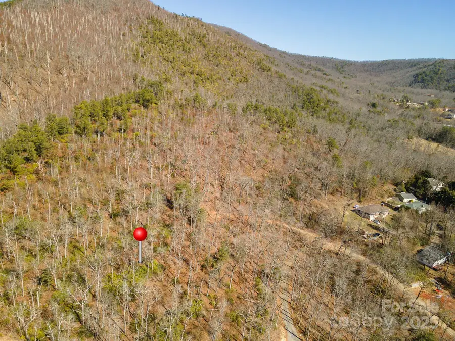 107 Bartram Way, Black Mountain, NC 28711 - Image #3