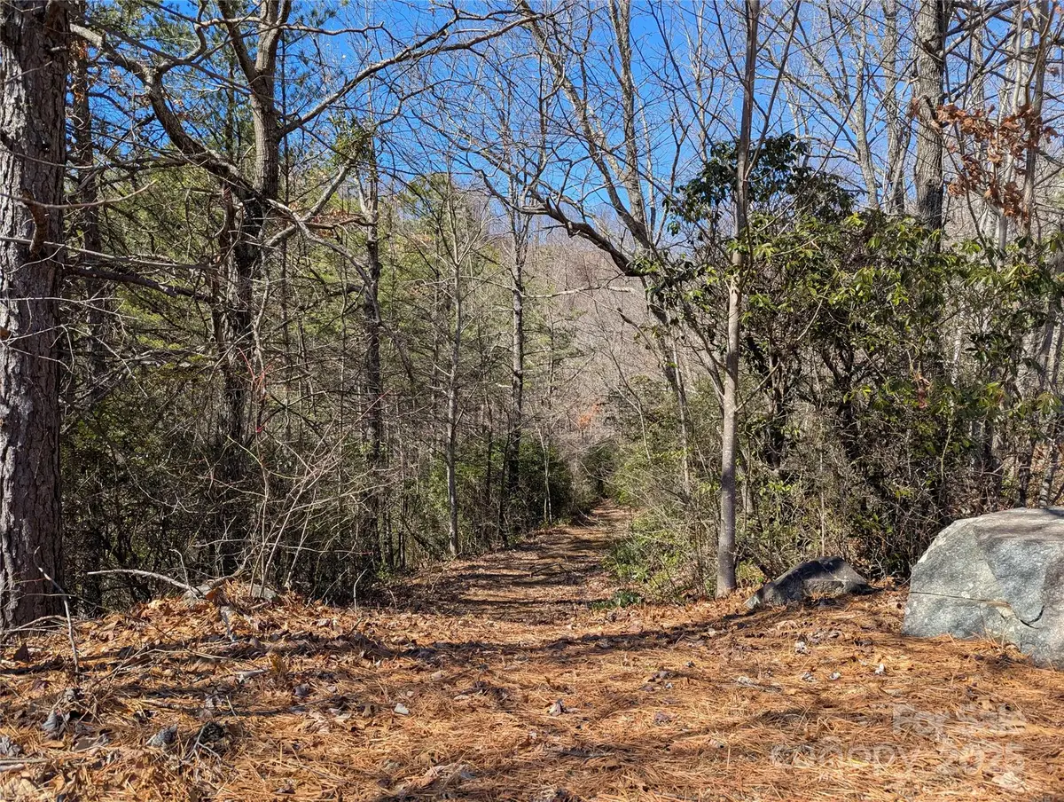 94 Trillium Lane #C-2, Black Mountain, NC 28711 - Image #1