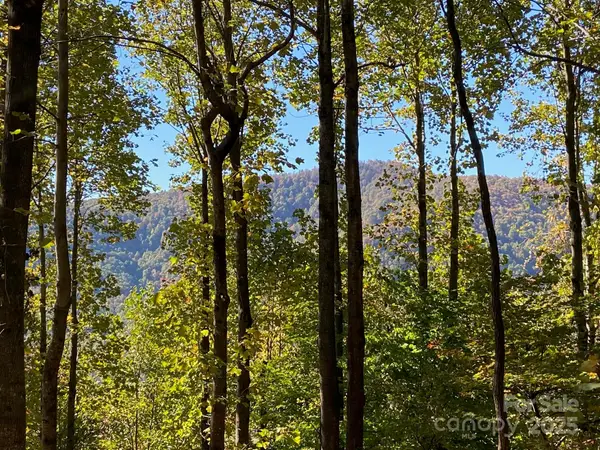 501 Warbler Lane #T-62, Black Mountain, NC 28711