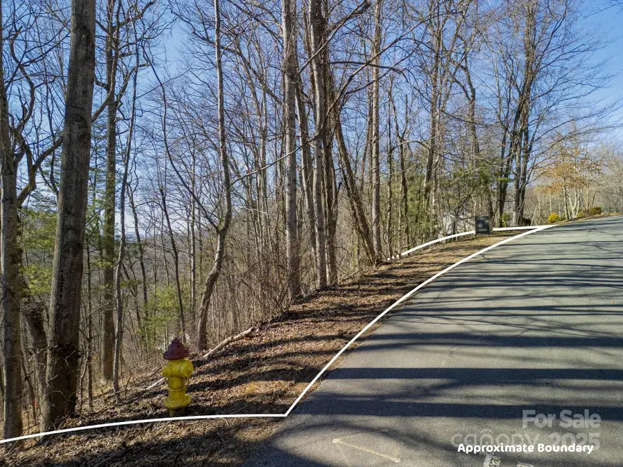 99999 Churchill Downs Drive, Fairview, NC 28730 - Image #3