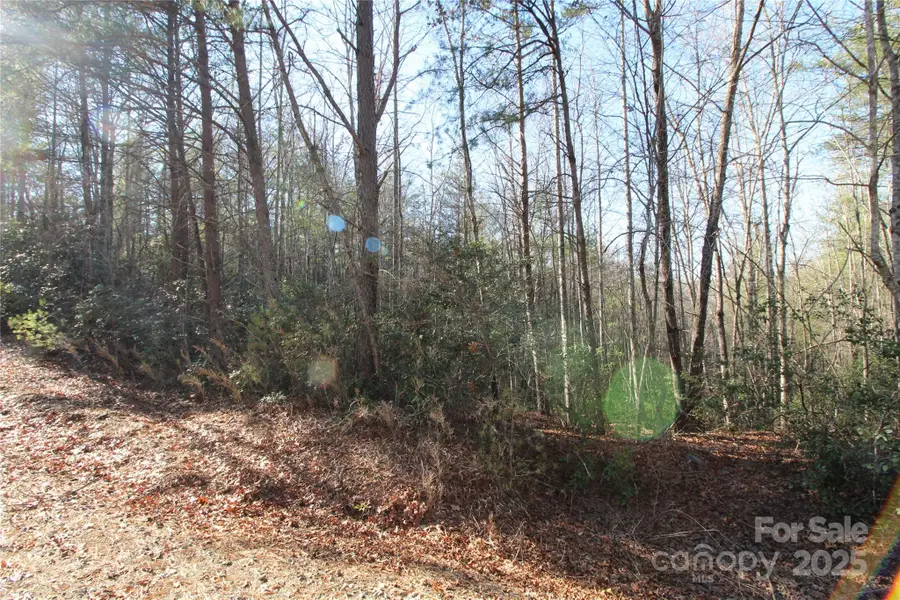 V/L Tahoe Trail #7, Collettsville, NC 28611 - Image #2