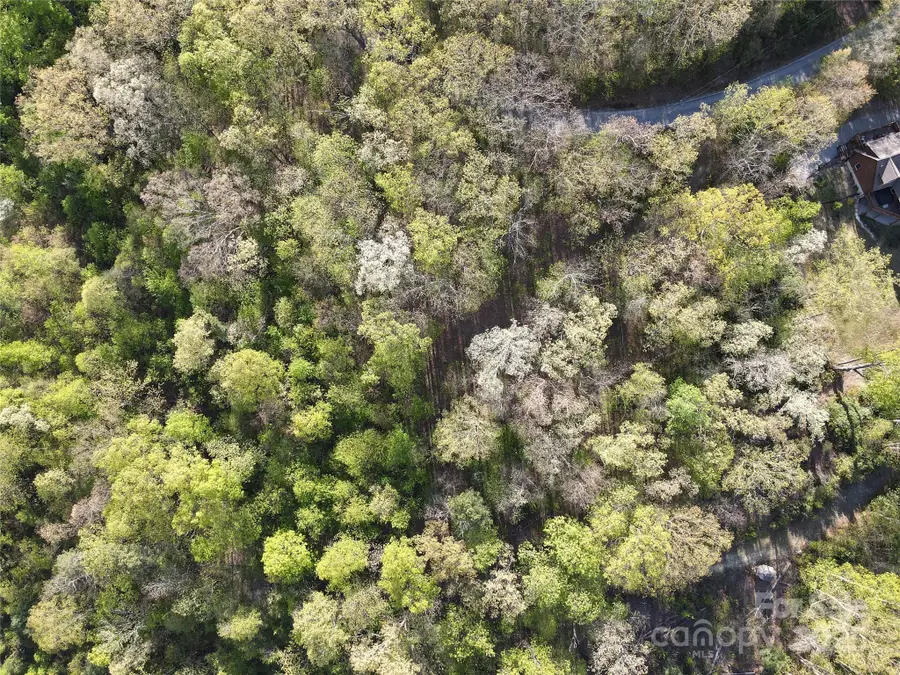 0000 Laurel Creek Drive #32, Hendersonville, NC 28792 - Image #2