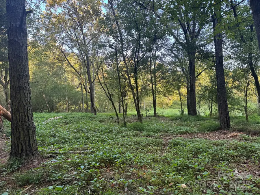 110 Serenity Creek Drive, Waxhaw, NC 28173 - Image #2