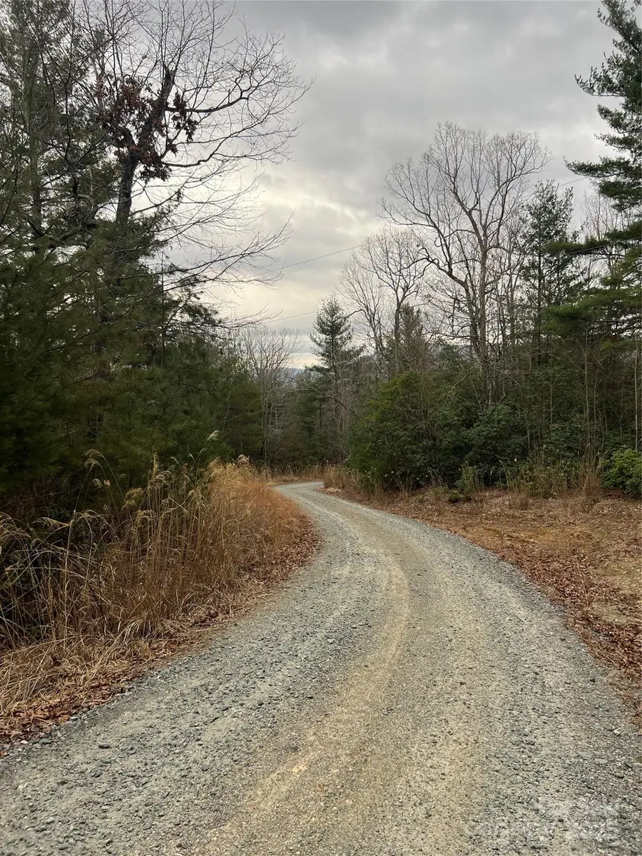 000 Dogwood Lane #D4, Penrose, NC 28739 - Image #3