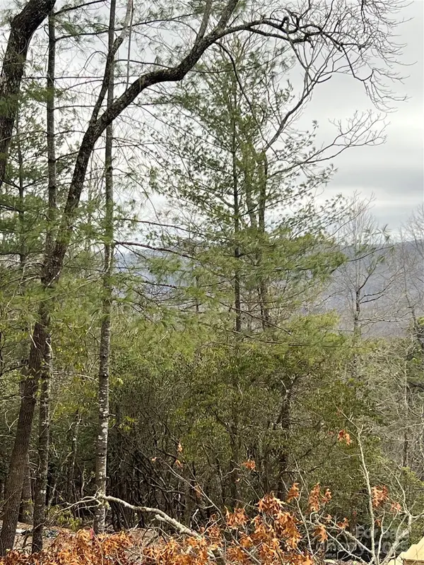 000 Emma Bri Lane #F8, Hendersonville, NC 28739