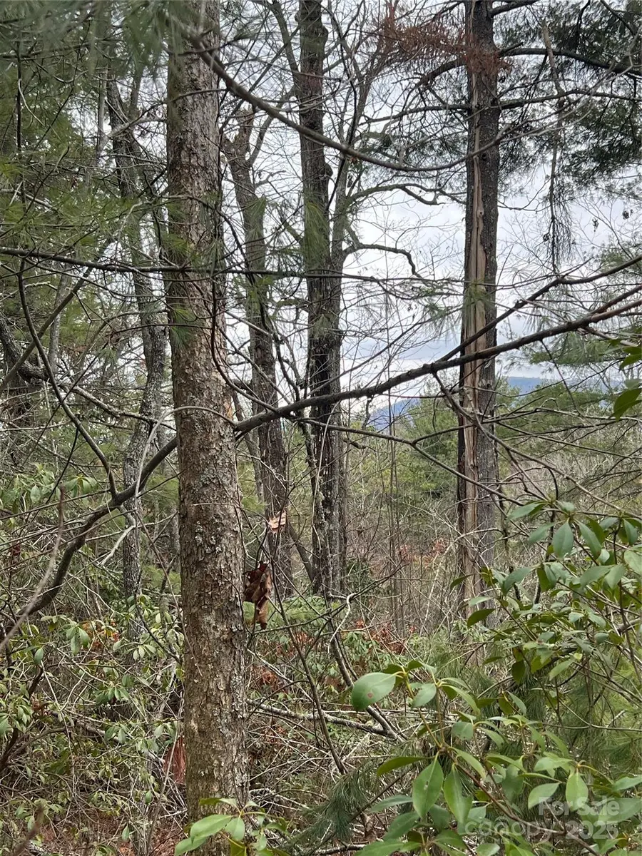 000 Emma Bri Lane #F8, Hendersonville, NC 28739 - Image #3