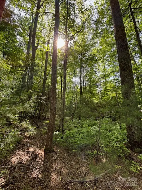 99999 Small Creek Road #4, Brevard, NC 28712