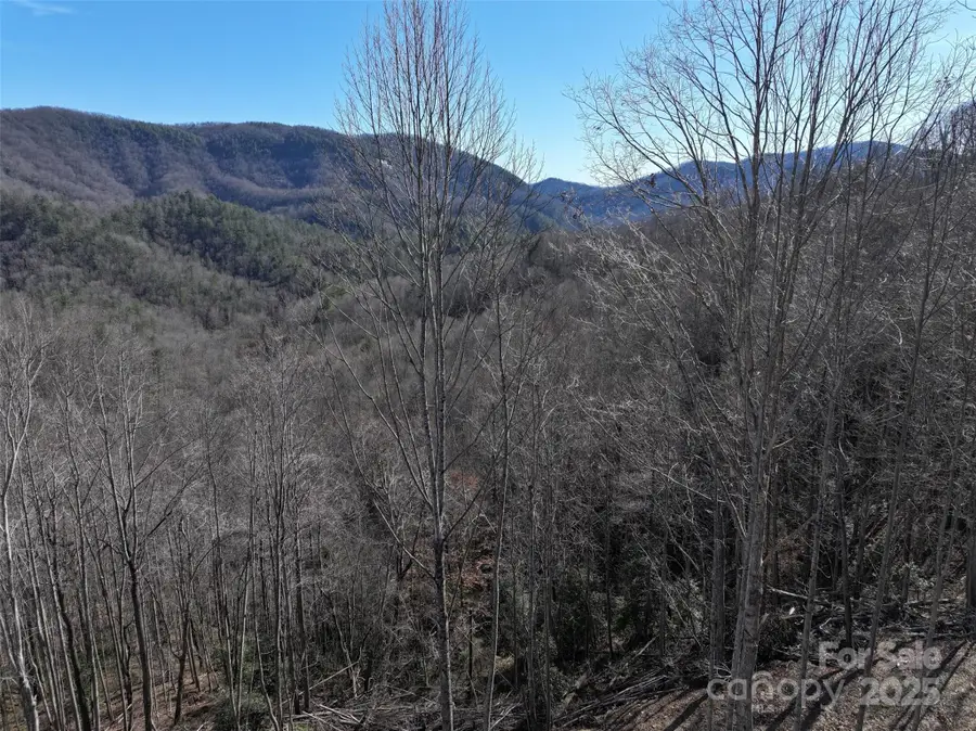 6485 Buffalo Cove Road, Lenoir, NC 28645 - Image #3