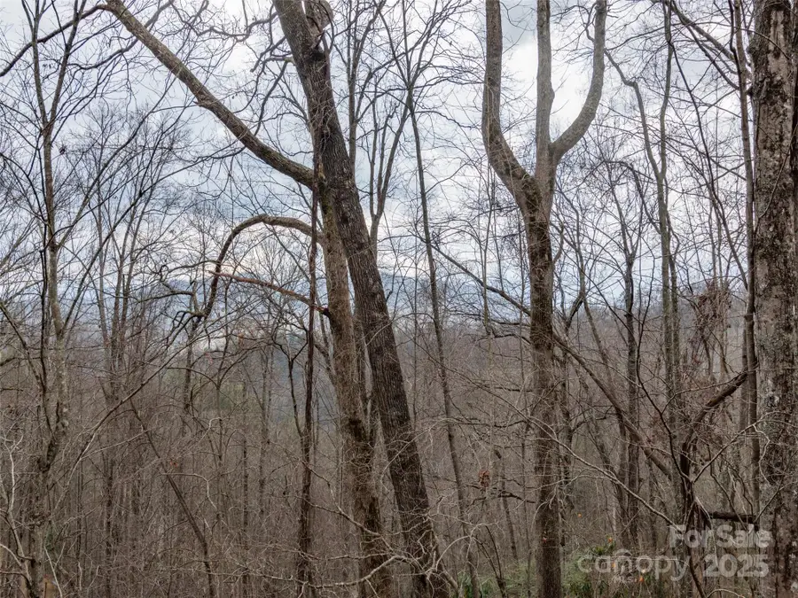 00 Cherry Berry Drive, Waynesville, NC 28785 - Image #2