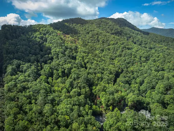 66 Sisters View Drive #159, Black Mountain, NC 28711