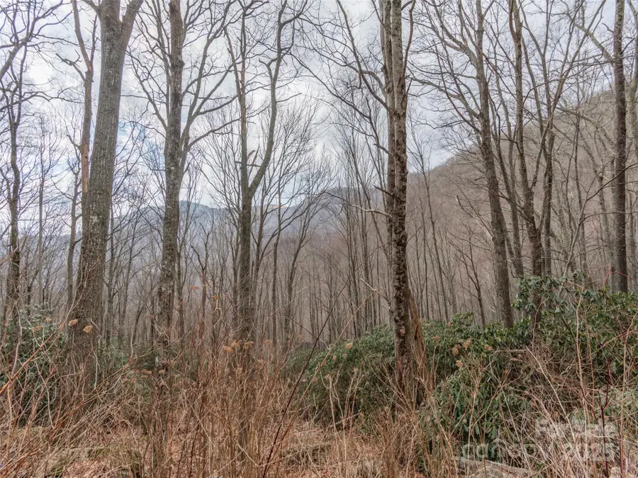 00 Bald Creek Road, Clyde, NC 28721 - Image #3