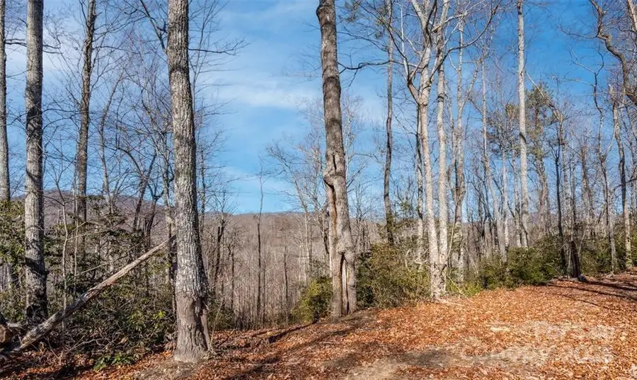 35 Lower Sand Branch Road, Black Mountain, NC 28711 - Image #3