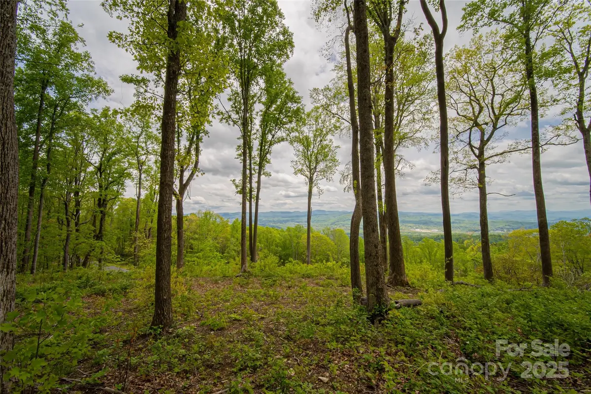 000 Mountain Grove Lane #71, Fletcher, NC 28732 - Image #1