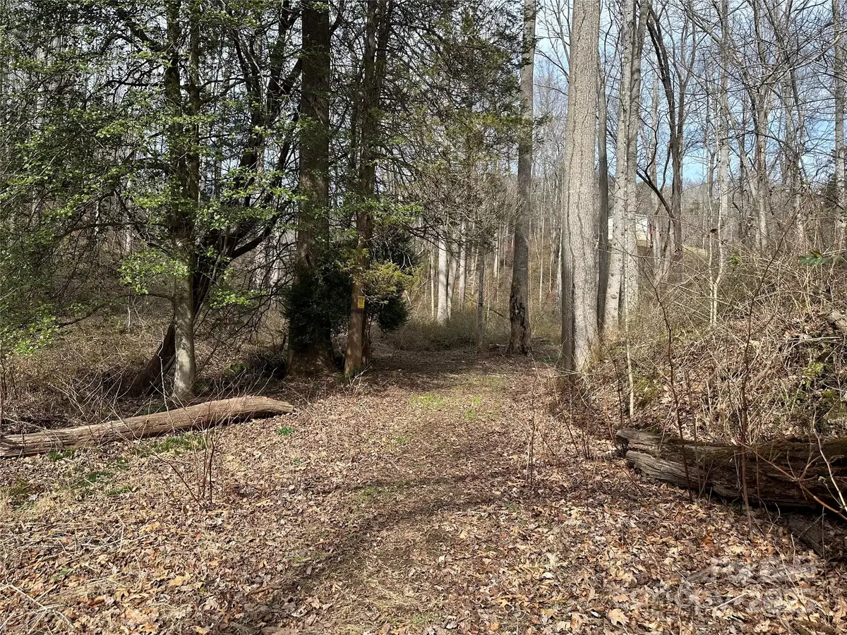 000 Big Cove Road, Candler, NC 28715 - Image #1