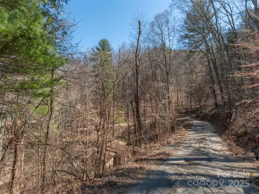 55 Lawterdale Circle #1 None, Asheville, NC 28804 - Image #2
