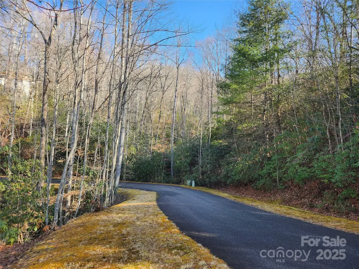 610 Aberdeen Lane, Pisgah Forest, NC 28768 - Image #1