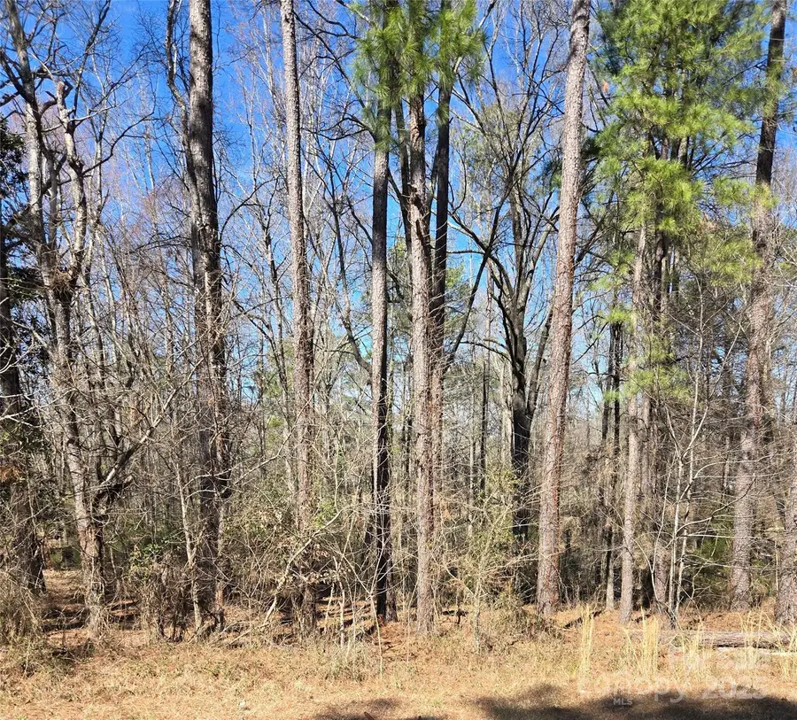 912 Allendale Circle, Rock Hill, SC 29732 - Image #3