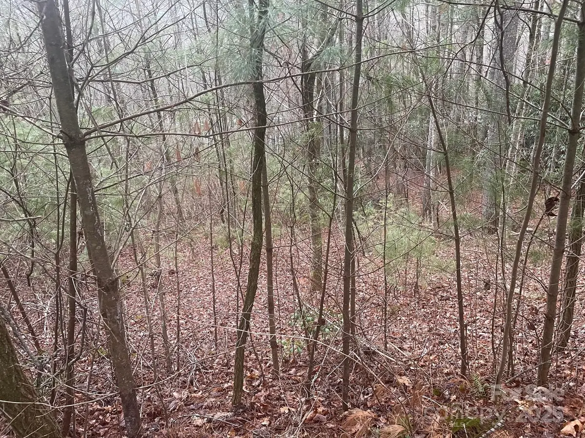 Lot 5 Wildwood Drive #L-5, Lake Toxaway, NC 28747 - Image #1