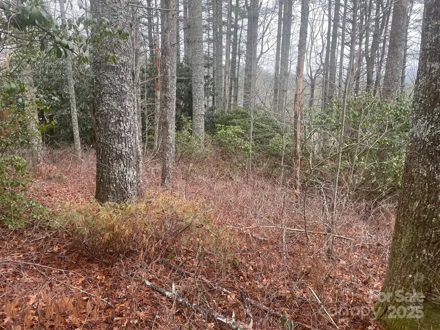 Lot 5 Wildwood Drive #L-5, Lake Toxaway, NC 28747 - Image #2