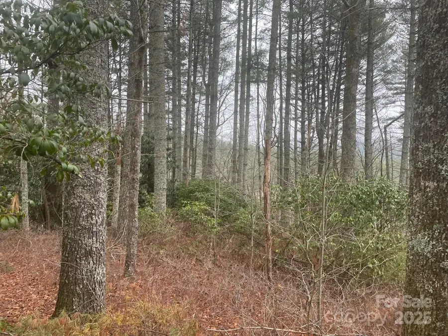 Lot 5 Wildwood Drive #L-5, Lake Toxaway, NC 28747 - Image #3