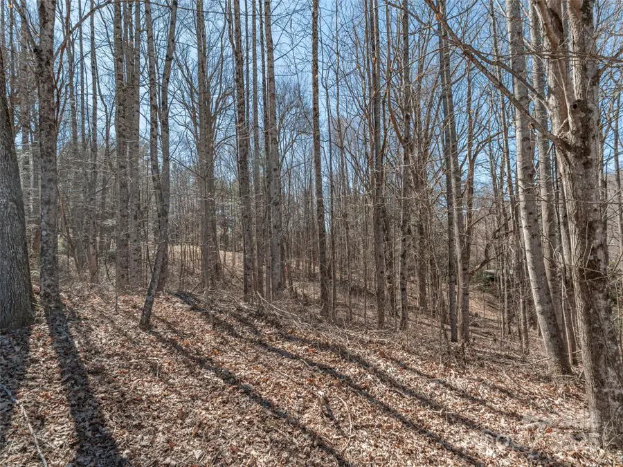 00 Sams Trail #27, Waynesville, NC 28786 - Image #2