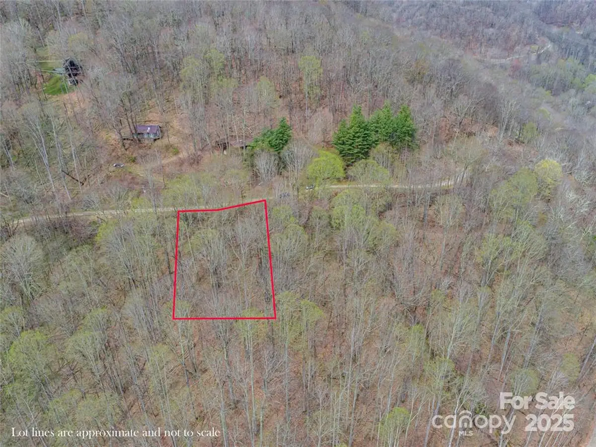 0 Weaver Lane #202, Mars Hill, NC 28754 - Image #1