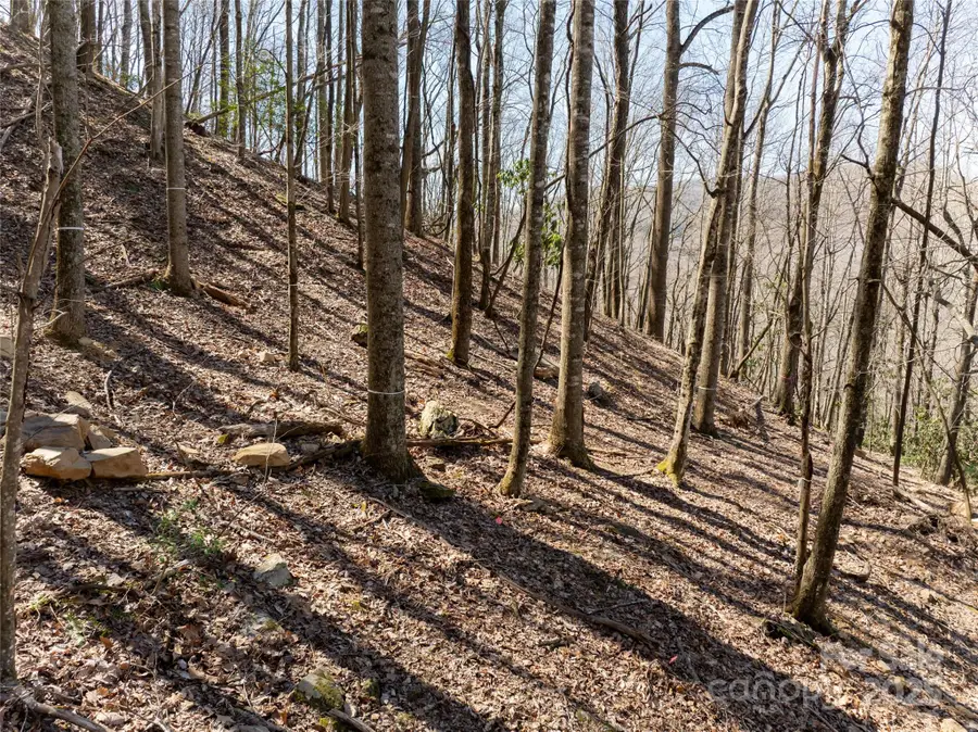 9999 Laurel Drive #12 & 13, Mills River, NC 28759 - Image #2