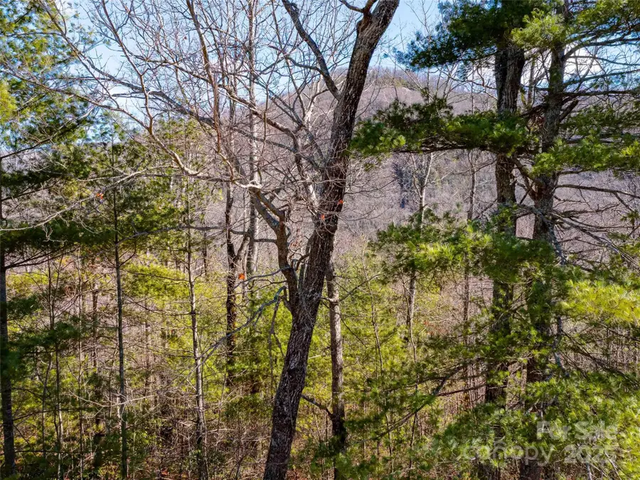 794 Silverstone Drive, Hendersonville, NC 28792 - Image #2