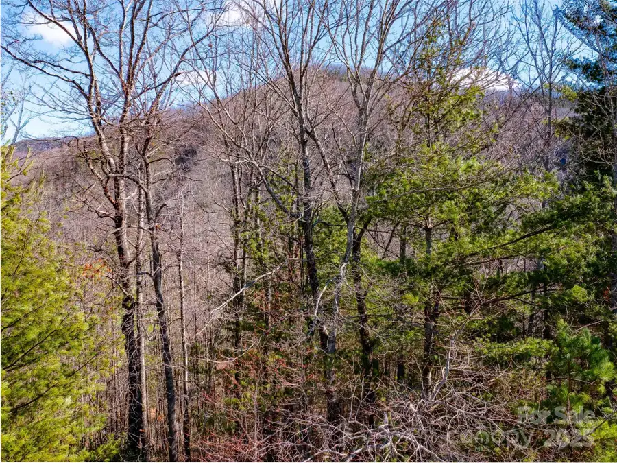 794 Silverstone Drive, Hendersonville, NC 28792 - Image #3