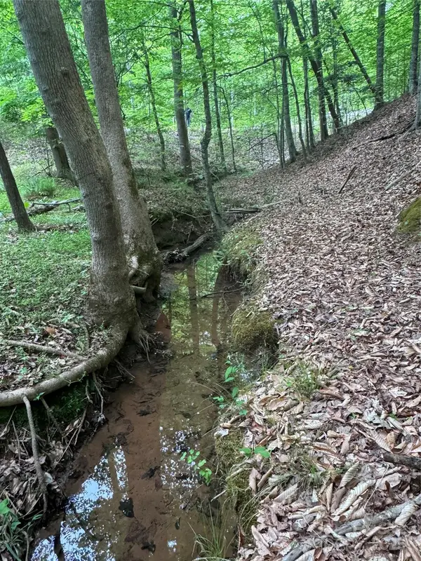 0 Desota Ridge #361, Rutherfordton, NC 28139