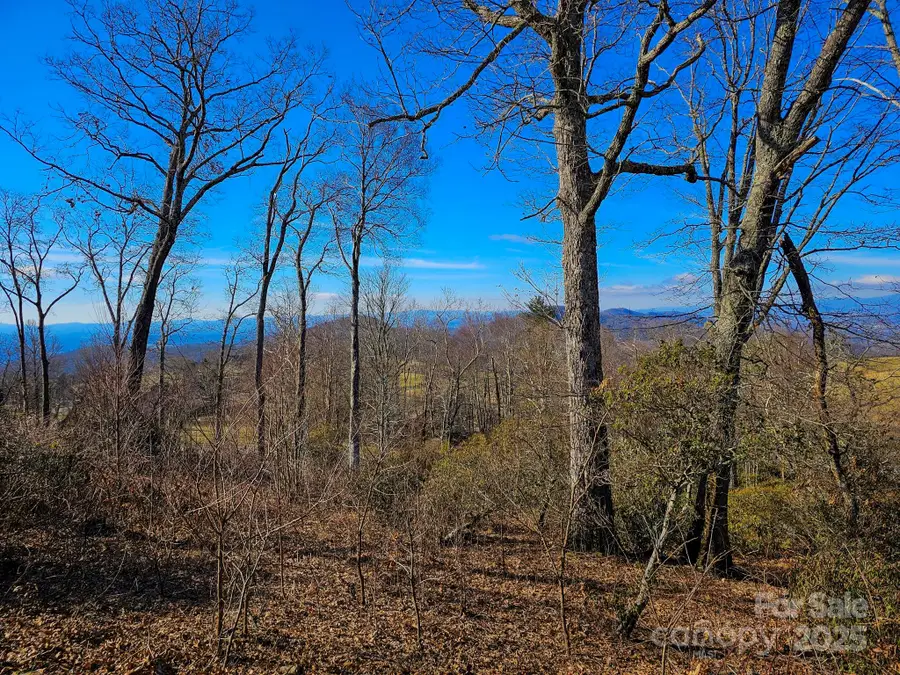 214 Summerset Drive, Hendersonville, NC 28792 - Image #2