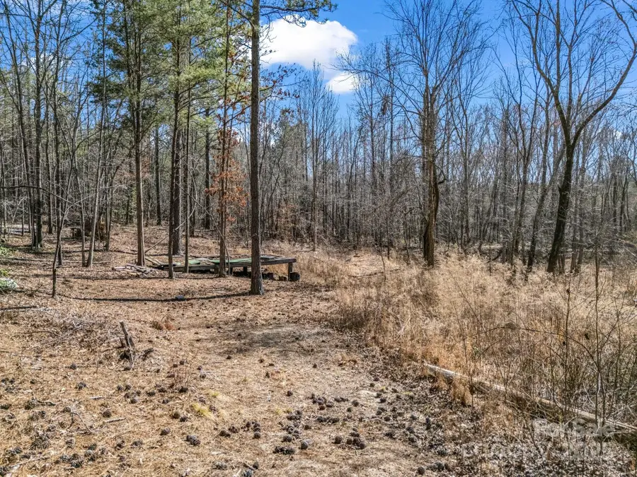 00 Petite Court, Rutherfordton, NC 28139 - Image #3