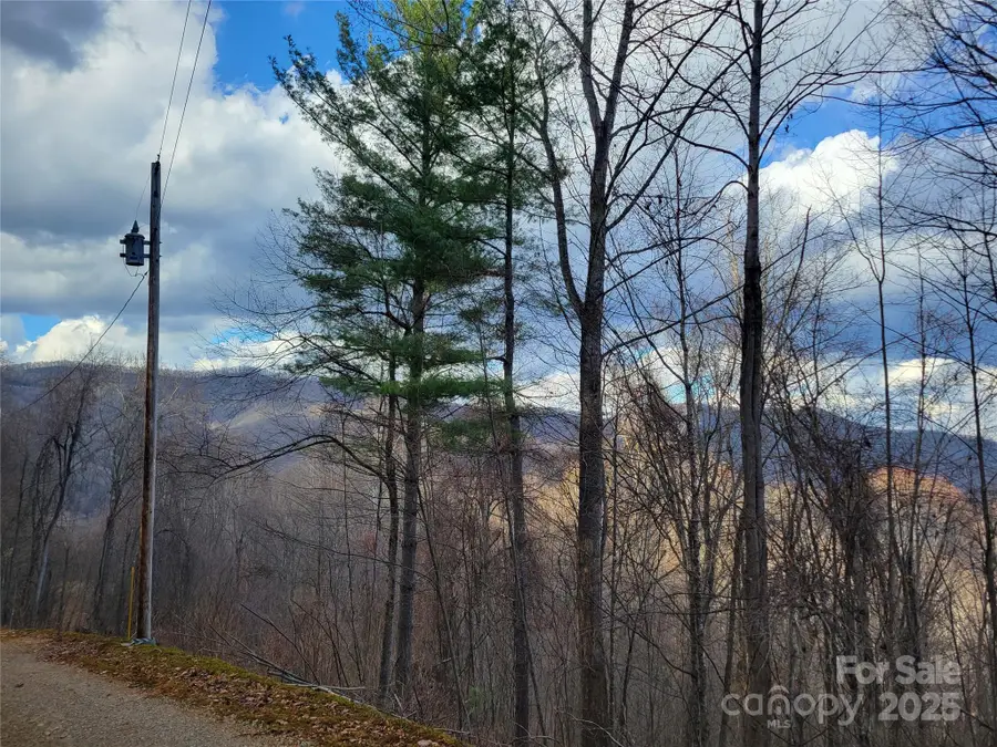 125 Lasso Lane #304, Waynesville, NC 28785 - Image #2