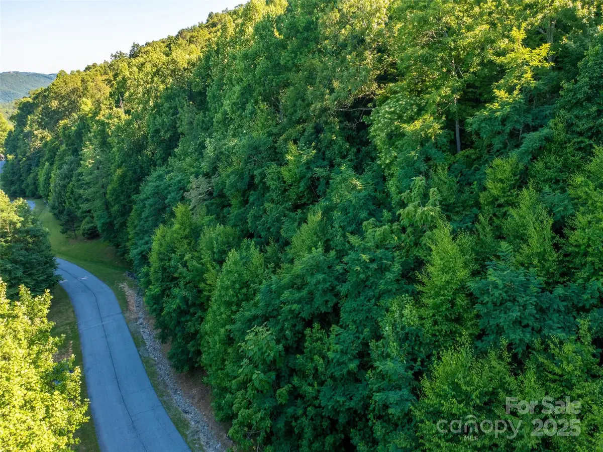 811 Grand Oaks Drive, Hendersonville, NC 28792 - Image #1