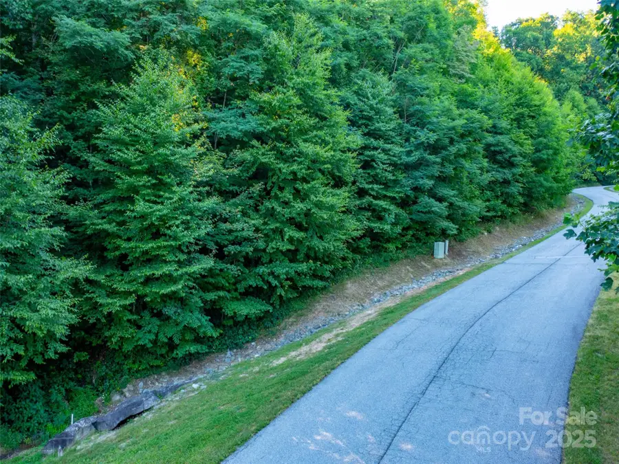 811 Grand Oaks Drive, Hendersonville, NC 28792 - Image #3