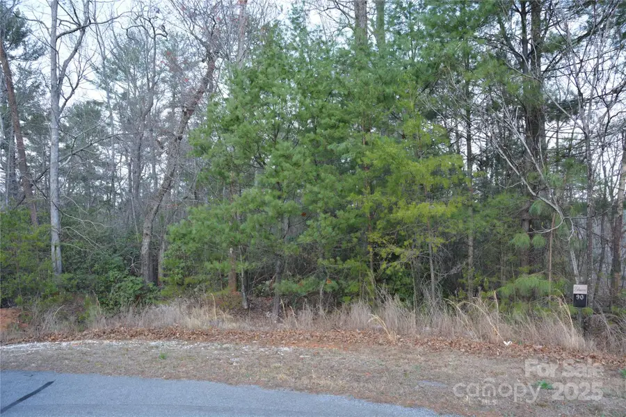 118 Crestline Drive #90, Marion, NC 28752 - Image #3