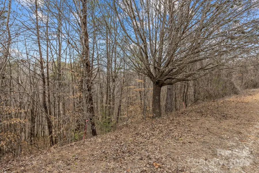 Lot 102 Glenhaven Drive, Marion, NC 28752 - Image #3
