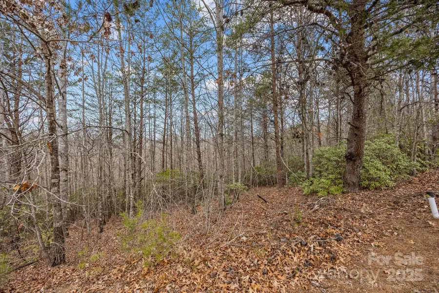 Lot 107 Glenhaven Drive, Marion, NC 28752 - Image #3