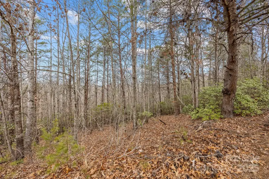 Lot 108 Glenhaven Drive, Marion, NC 28752 - Image #3