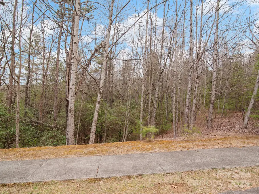 0 Springhouse Trail #15, Brevard, NC 28712 - Image #3