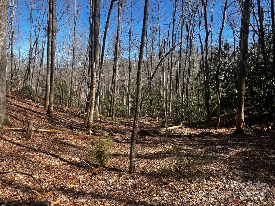 Lot 68 Cherrywood Lane, Pisgah Forest, NC 28768 - Image #2