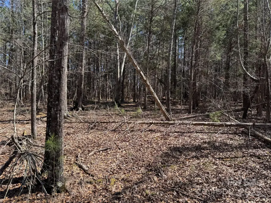 1905 Bechtler Road, Edgemoor, SC 29712 - Image #2