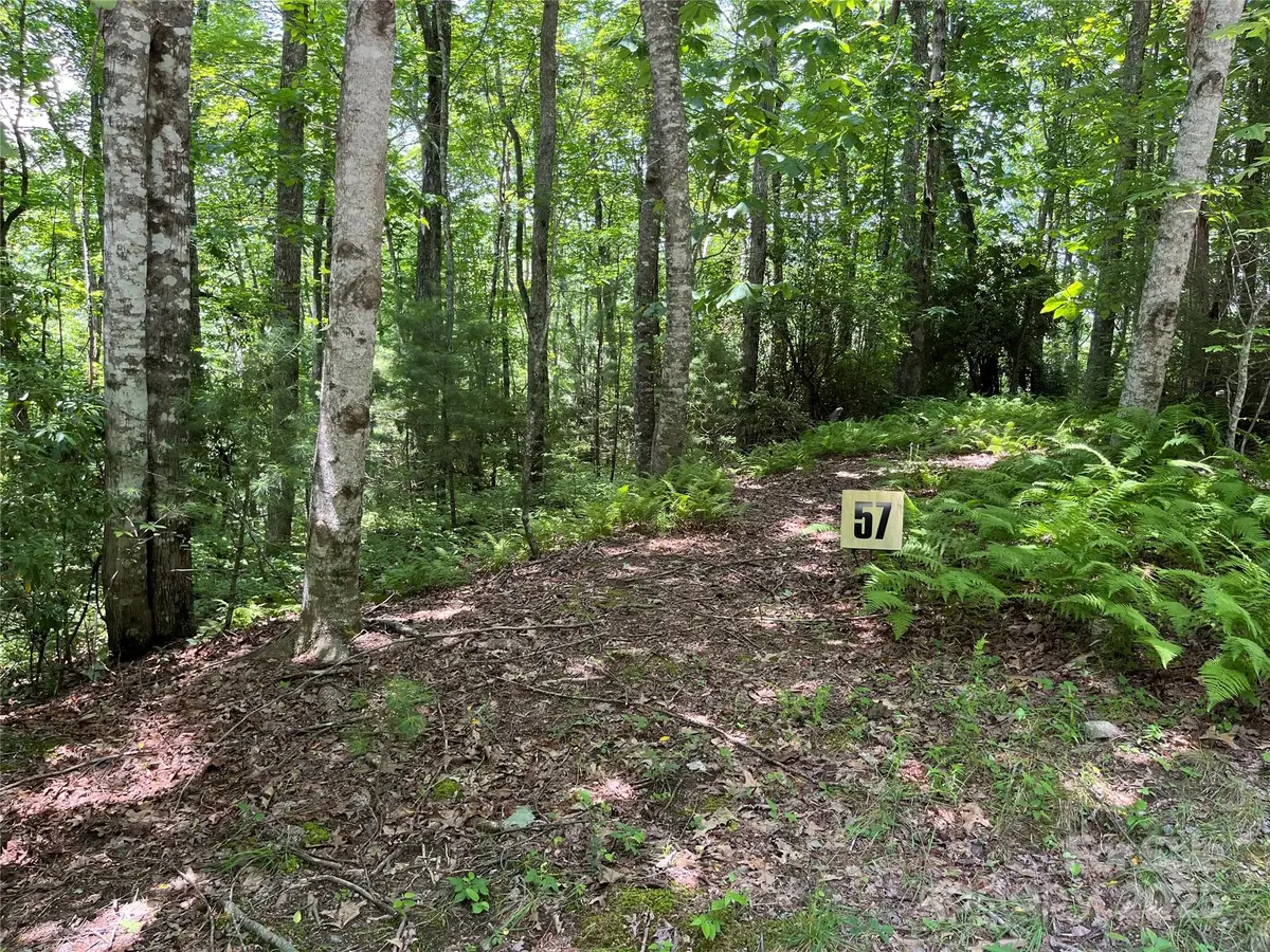 57 Big Branch Road, Brevard, NC 28712 - #1