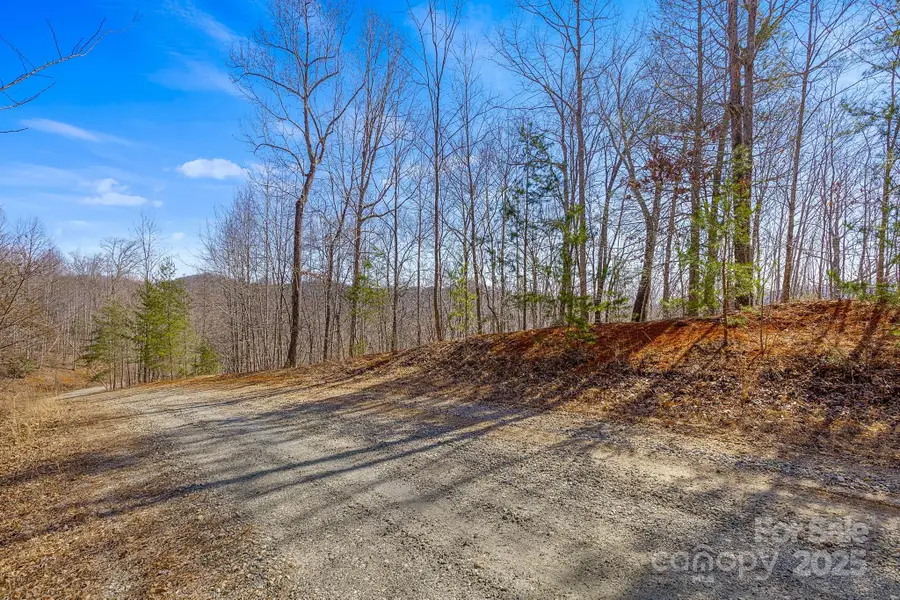 00 Champagne Ridge, Lake Lure, NC 28746 - Image #2